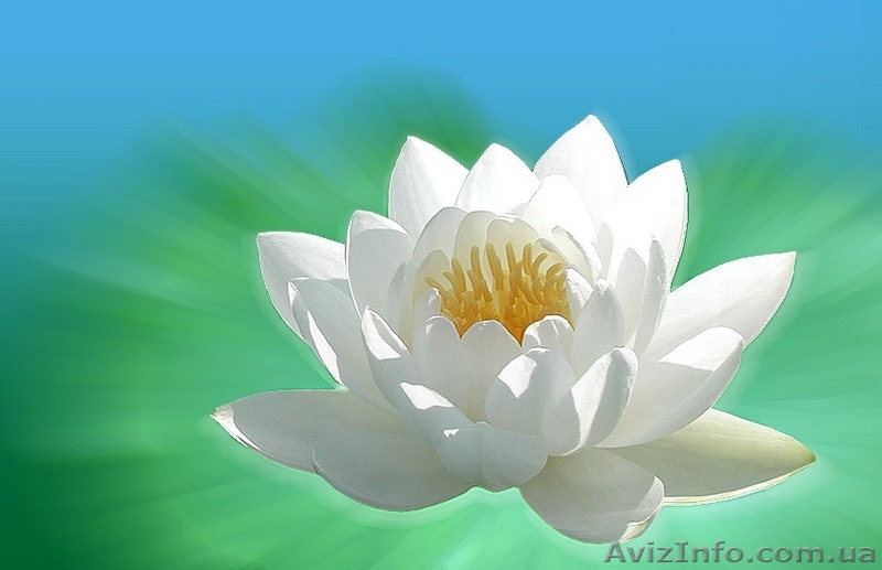 Семінар оздоровчої системи Чжун Юань цигун   - <ro>Изображение</ro><ru>Изображение</ru> #1, <ru>Объявление</ru> #10266