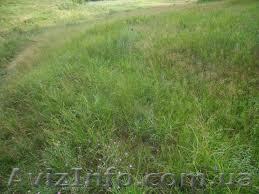 Участок м коммуникациями. Общая территория площадью 2,87 гектаров + еще 7 - <ro>Изображение</ro><ru>Изображение</ru> #1, <ru>Объявление</ru> #250920