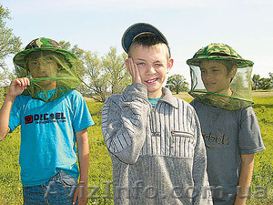 Биологическая борьба с комарами - <ro>Изображение</ro><ru>Изображение</ru> #1, <ru>Объявление</ru> #328964