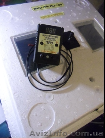 Инструменты для разведения птицы  - <ro>Изображение</ro><ru>Изображение</ru> #1, <ru>Объявление</ru> #856198