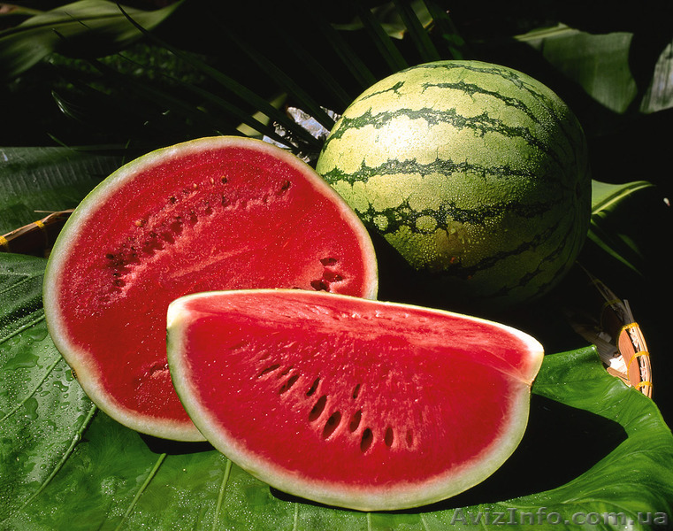 Продам херсонский сладкий арбуз - <ro>Изображение</ro><ru>Изображение</ru> #1, <ru>Объявление</ru> #1290499