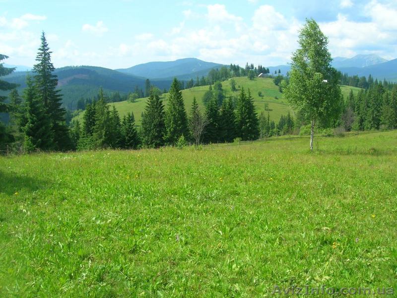 Продам участок в Карпатах - Яблуница, 110 соток - <ro>Изображение</ro><ru>Изображение</ru> #1, <ru>Объявление</ru> #1361621