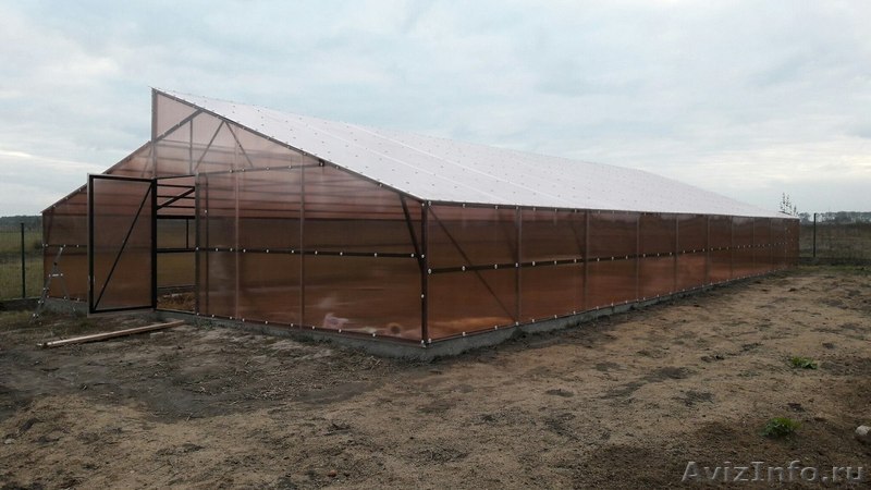 теплицы пленку и поликарбонат - <ro>Изображение</ro><ru>Изображение</ru> #1, <ru>Объявление</ru> #1499936