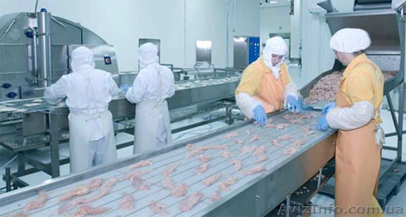 Работа в Польше (высокая з/п) - <ro>Изображение</ro><ru>Изображение</ru> #1, <ru>Объявление</ru> #1622944