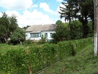 ПРОДАМ ДОМ С ЗЕМЕЛЬНЫМ УЧАСТКОМ - <ro>Изображение</ro><ru>Изображение</ru> #1, <ru>Объявление</ru> #1695