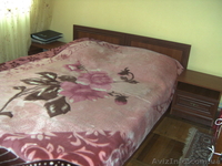 Люксор Soft - <ro>Изображение</ro><ru>Изображение</ru> #2, <ru>Объявление</ru> #1205