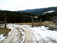 Земля в Карпатах (Микуличин)  - <ro>Изображение</ro><ru>Изображение</ru> #3, <ru>Объявление</ru> #31527