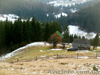 Земля в Карпатах (Микуличин)  - <ro>Изображение</ro><ru>Изображение</ru> #1, <ru>Объявление</ru> #31527