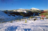 УЧАСТОК МВ КАРПАТАХ - <ro>Изображение</ro><ru>Изображение</ru> #1, <ru>Объявление</ru> #55146