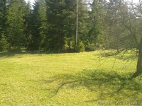 земельна ділянка Карпати - <ro>Изображение</ro><ru>Изображение</ru> #2, <ru>Объявление</ru> #117869