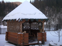11 км. от Буковеля - <ro>Изображение</ro><ru>Изображение</ru> #2, <ru>Объявление</ru> #137136