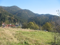 ЗЕМЕЛЬНІ ДІЛЯНКИ В КАРПАТАХ Татарів - <ro>Изображение</ro><ru>Изображение</ru> #3, <ru>Объявление</ru> #176781