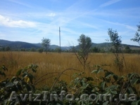 Земельный участок в Карпатах - <ro>Изображение</ro><ru>Изображение</ru> #1, <ru>Объявление</ru> #188314