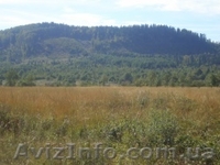 Земельный участок в Карпатах - <ro>Изображение</ro><ru>Изображение</ru> #3, <ru>Объявление</ru> #188314