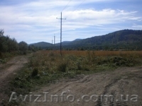 Земельный участок в Карпатах - <ro>Изображение</ro><ru>Изображение</ru> #4, <ru>Объявление</ru> #188314