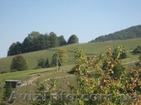 Земля  под строительство - <ro>Изображение</ro><ru>Изображение</ru> #3, <ru>Объявление</ru> #188312