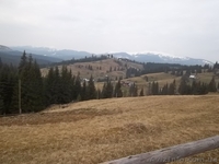 земля Яблуница новая дорога на Буковель - <ro>Изображение</ro><ru>Изображение</ru> #1, <ru>Объявление</ru> #243655