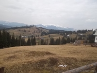 земля Яблуница новая дорога на Буковель - <ro>Изображение</ro><ru>Изображение</ru> #4, <ru>Объявление</ru> #243655