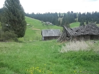 земельные участки в Карпатах Яблуница возле Буковеля - <ro>Изображение</ro><ru>Изображение</ru> #1, <ru>Объявление</ru> #453197