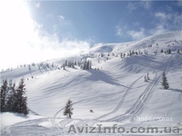 Котедж в карпатах - <ro>Изображение</ro><ru>Изображение</ru> #3, <ru>Объявление</ru> #469406