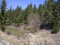 Продам участок  в Карпатах- Яблуница, новая дорога на "ТК Буковель", фасад - <ro>Изображение</ro><ru>Изображение</ru> #2, <ru>Объявление</ru> #650265