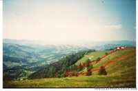 Продам ділянку в Карпатах - Косів, село Річка - <ro>Изображение</ro><ru>Изображение</ru> #2, <ru>Объявление</ru> #652675