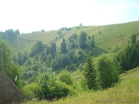 Продам ділянку в Карпатах - Косів, село Річка - <ro>Изображение</ro><ru>Изображение</ru> #1, <ru>Объявление</ru> #652675