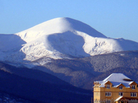 Коттедж и сауна в Карпатах, 46 соток возле Говерлы!!! - <ro>Изображение</ro><ru>Изображение</ru> #1, <ru>Объявление</ru> #701970