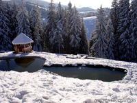 Коттедж и сауна в Карпатах, 46 соток возле Говерлы!!! - <ro>Изображение</ro><ru>Изображение</ru> #8, <ru>Объявление</ru> #701970