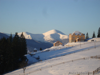 Коттедж и сауна в Карпатах, 46 соток возле Говерлы!!! - <ro>Изображение</ro><ru>Изображение</ru> #10, <ru>Объявление</ru> #701970