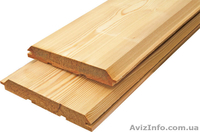 Лиственница сибирская Ивано-Франковск Украина - <ro>Изображение</ro><ru>Изображение</ru> #4, <ru>Объявление</ru> #153146