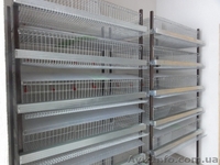 Оборудование для кролиководства, клетки для кроликов в Украине - <ro>Изображение</ro><ru>Изображение</ru> #3, <ru>Объявление</ru> #775344