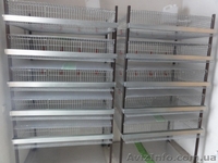 Оборудование для кролиководства, клетки для кроликов в Украине - <ro>Изображение</ro><ru>Изображение</ru> #2, <ru>Объявление</ru> #775344
