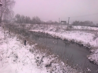 Многоэтажный корпус под базу отдыха, санаторий или другое или  - <ro>Изображение</ro><ru>Изображение</ru> #2, <ru>Объявление</ru> #823536