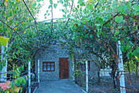 Дача 60 м² пгт. Орджоникидзе 4 сотки Крым Феодосия - <ro>Изображение</ro><ru>Изображение</ru> #2, <ru>Объявление</ru> #841623