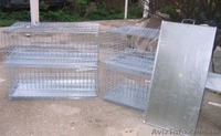 Клетка для  перепелов  - <ro>Изображение</ro><ru>Изображение</ru> #3, <ru>Объявление</ru> #894879