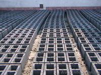 Продаю шлакоблоки - <ro>Изображение</ro><ru>Изображение</ru> #2, <ru>Объявление</ru> #926041