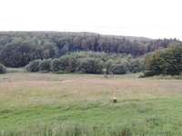 Продам участок в Карпатах - Пистынь, 50 соток - <ro>Изображение</ro><ru>Изображение</ru> #1, <ru>Объявление</ru> #998275