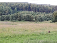 Продам участок в Карпатах - Пистынь, 50 соток - <ro>Изображение</ro><ru>Изображение</ru> #2, <ru>Объявление</ru> #998275