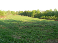 Продам земельну ділянку 0.68г. село Вербовець, (Хімчинська) Косівський район. - <ro>Изображение</ro><ru>Изображение</ru> #1, <ru>Объявление</ru> #1011192