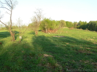 Продам земельну ділянку 0.68г. село Вербовець, (Хімчинська) Косівський район. - <ro>Изображение</ro><ru>Изображение</ru> #2, <ru>Объявление</ru> #1011192