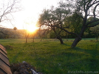 Продам деревяний будинок площею 50м.кв. земельна ділянка 0.48г. - <ro>Изображение</ro><ru>Изображение</ru> #2, <ru>Объявление</ru> #1011187