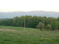 Продам деревяний будинок площею 50м.кв. земельна ділянка 0.48г. - <ro>Изображение</ro><ru>Изображение</ru> #4, <ru>Объявление</ru> #1011187