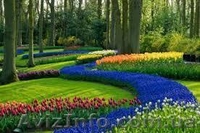 Дизайнер інтер'єру та ландшафту! - <ro>Изображение</ro><ru>Изображение</ru> #5, <ru>Объявление</ru> #1159802