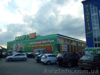 Комерційне 36 кв.м. Г. Мазепи - <ro>Изображение</ro><ru>Изображение</ru> #3, <ru>Объявление</ru> #1132138