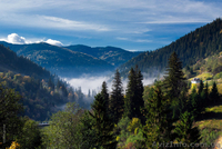 Відпочинок в Карпатах - <ro>Изображение</ro><ru>Изображение</ru> #3, <ru>Объявление</ru> #1286432