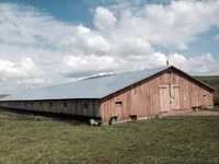 Ферма деревянная новая Ивано-Франковская обл  - <ro>Изображение</ro><ru>Изображение</ru> #1, <ru>Объявление</ru> #1293240