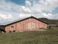 Ферма деревянная новая Ивано-Франковская обл  - <ro>Изображение</ro><ru>Изображение</ru> #2, <ru>Объявление</ru> #1293240