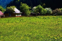 Продажа земельного участка в Карпатах - <ro>Изображение</ro><ru>Изображение</ru> #2, <ru>Объявление</ru> #1348510