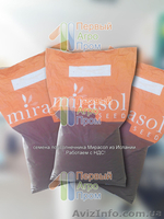 Семена подсолнечника для засушливых регионов - Mirasol seed - <ro>Изображение</ro><ru>Изображение</ru> #2, <ru>Объявление</ru> #1517401
